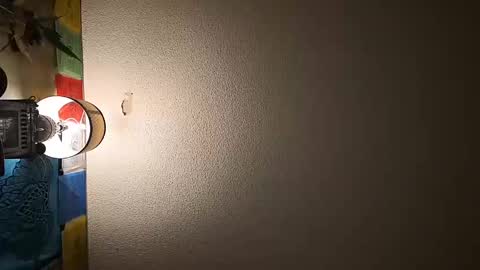 wizardmike421 online show from 19, 11, 2025