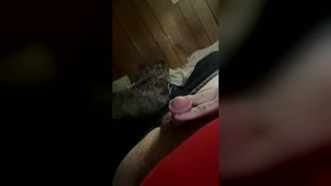 wolfdrose online show from 30, 6, 2026