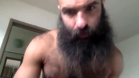 woof_wolf37 online show from 16, 4, 2026