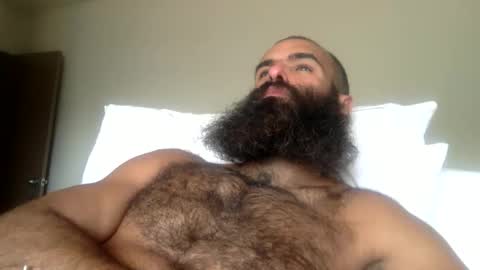 woof_wolf37 online show from 16, 4, 2026