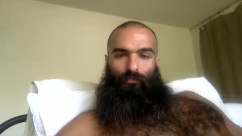 woof_wolf37 online show from 19, 4, 2026