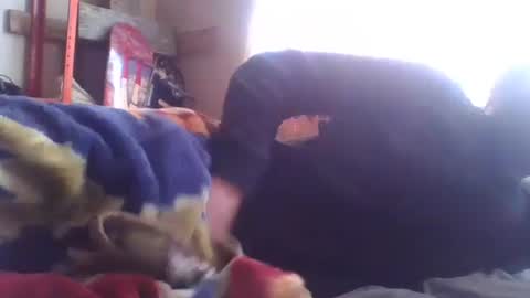 Snapshot of wormaho84 chatting on 7, 1, 2025 wormaho84 online show from 7, 1, 2025