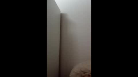 wowzy1 online show from 8, 2, 2026