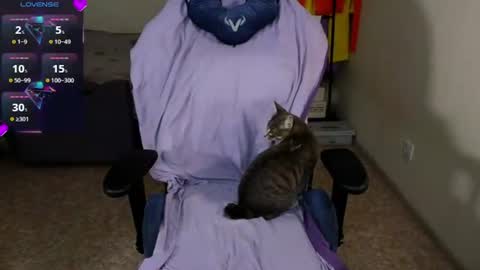 Neo and Abby online show from 15, 7, 2026