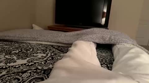 Snapshot of wsteel66 chatting on 24, 2, 2026 Wsteel66 online show from 24, 2, 2026