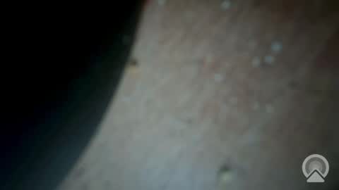 Snapshot of wtfboy82 chatting on 7, 5, 2026 WTFboy82 online show from 7, 5, 2026