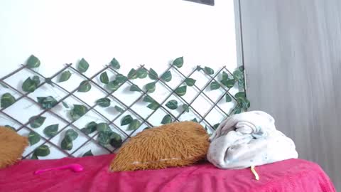 Snapshot of xararouxxx chatting on 2, 3, 2025 S A R A 100K followers online show from 2, 3, 2025