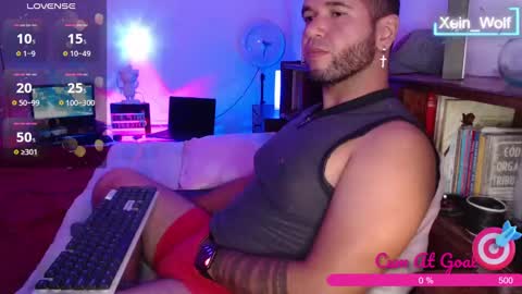 Snapshot of xein_wolf chatting on 27, 1, 2025 Xein Independent Model online show from 27, 1, 2025