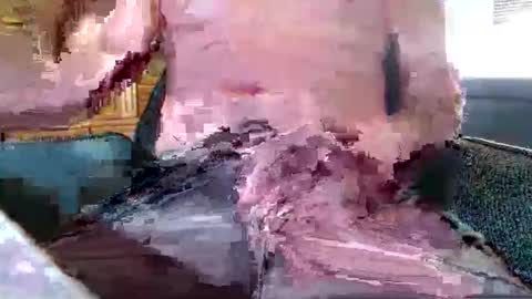 xmen43hot online show from 18, 9, 2025