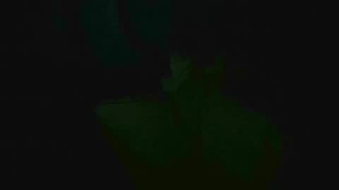 xposed_edger online show from 2, 3, 2025