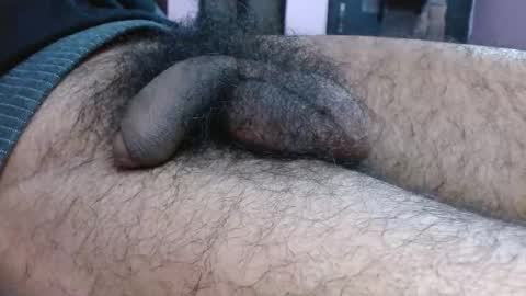 Prince online show from 10, 1, 2026