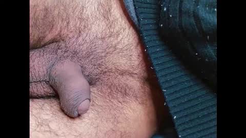 Prince online show from 12, 1, 2026