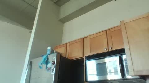 Snapshot of xxxdanidoomsdayxxx chatting on 3, 12, 2025 Danielle online show from 3, 12, 2025