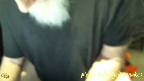 .     y e l l o w s n a k e s       . online show from 14, 1, 2026