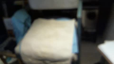 .     y e l l o w s n a k e s       . online show from 3, 2, 2026