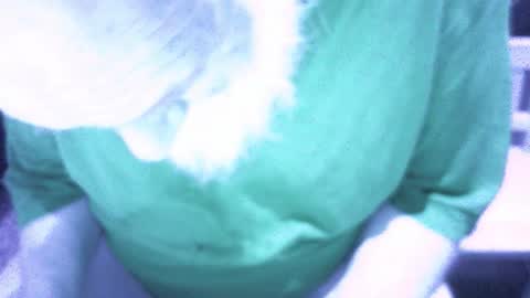 .     y e l l o w s n a k e s       . online show from 16, 2, 2026