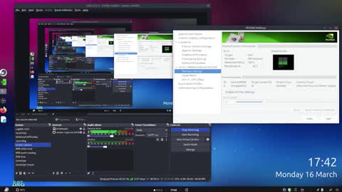 .     y e l l o w s n a k e s       . online show from 16, 3, 2026