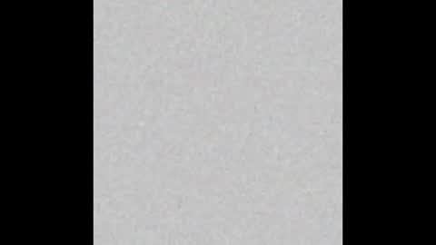 .     y e l l o w s n a k e s       . online show from 25, 3, 2026