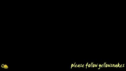 .     y e l l o w s n a k e s       . online show from 13, 4, 2026