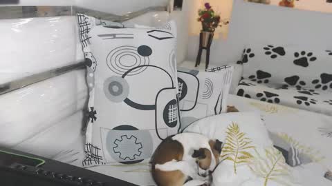 YINAROSS online show from 27, 3, 2026