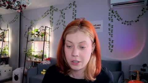 your_corvus online show from 4, 4, 2026