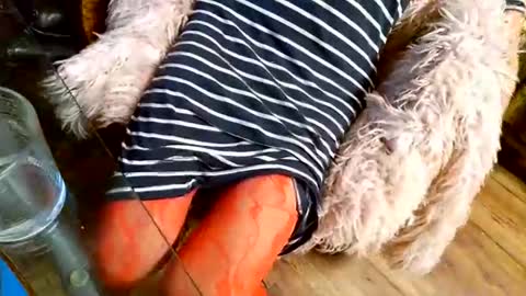 Taylor Tash online show from 1, 12, 2025