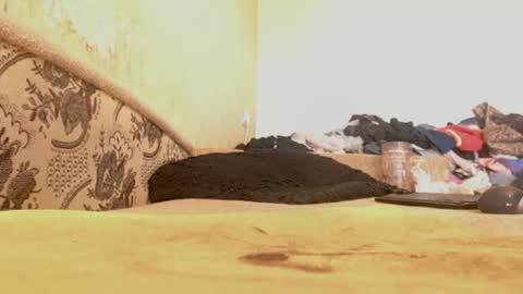 Emily online show from 29, 6, 2026
