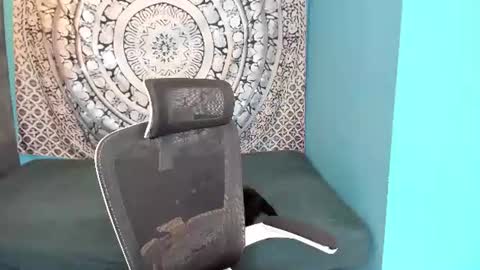 YourVenus00 -Follow my OF online show from 2, 7, 2026