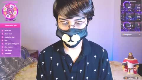 the puppy boy online show from 24, 7, 2026