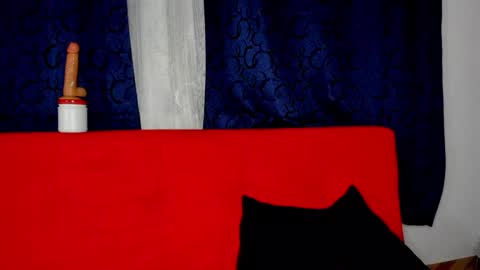 YURI AND MI BOY online show from 8, 2, 2025