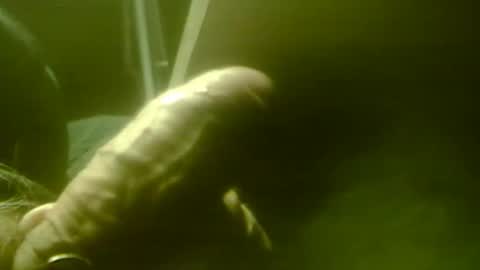 zaboski4 online show from 1, 12, 2025