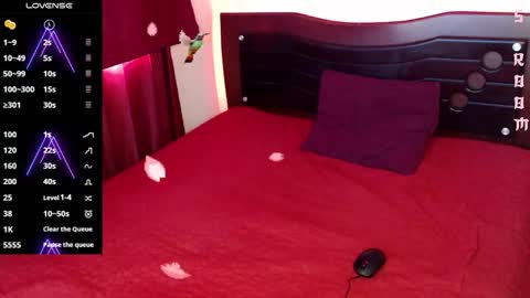 Zagarah online show from 13, 2, 2026