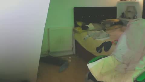 Zed online show from 13, 12, 2024