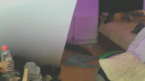 Zed online show from 19, 12, 2024