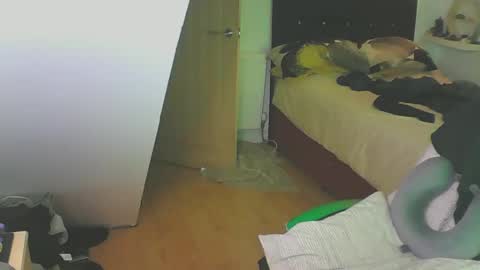 Zed online show from 28, 12, 2024