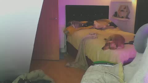 Zed online show from 19, 1, 2025