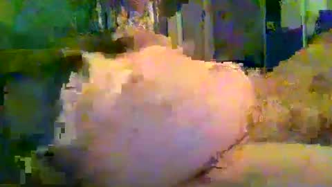 Snapshot of zero0zero123 chatting on 27, 9, 2025 zero0zero123 online show from 27, 9, 2025