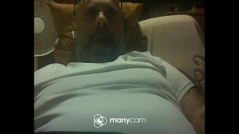 Snapshot of zeusdioss chatting on 8, 7, 2026 zeusdioss online show from 8, 7, 2026