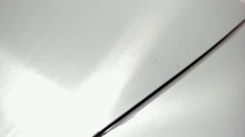 zia online show from 20, 2, 2026