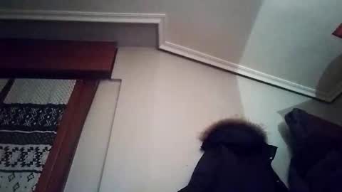 zigor13 online show from 4, 2, 2026