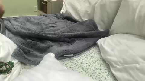 zinneaviolette online show from 14, 1, 2026