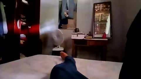 zitojose73 online show from 4, 11, 2025