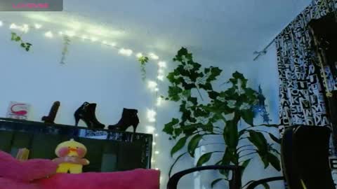 Snapshot of zoemi chatting on 24, 1, 2025 zoemi online show from 24, 1, 2025