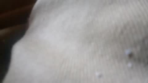 Snapshot of zoeybaby555gfr chatting on 4, 6, 2026 bigdickdaddy online show from 4, 6, 2026