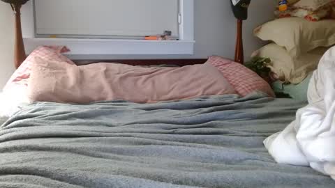 Snapshot of zymase chatting on 7, 12, 2024 zymase online show from 7, 12, 2024