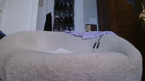 Snapshot of zymase chatting on 4, 1, 2025 zymase online show from 4, 1, 2025