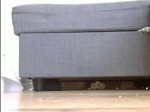 Squirtlady38 online show from 20, 3, 2025