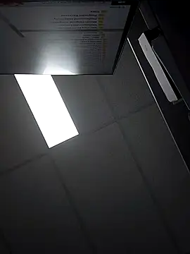 stiffandlubedxh online show from 4, 3, 2025