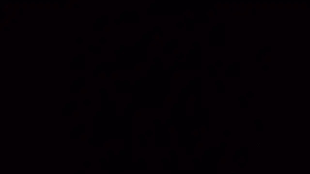 PartyguySLC78 online show from 26, 2, 2025