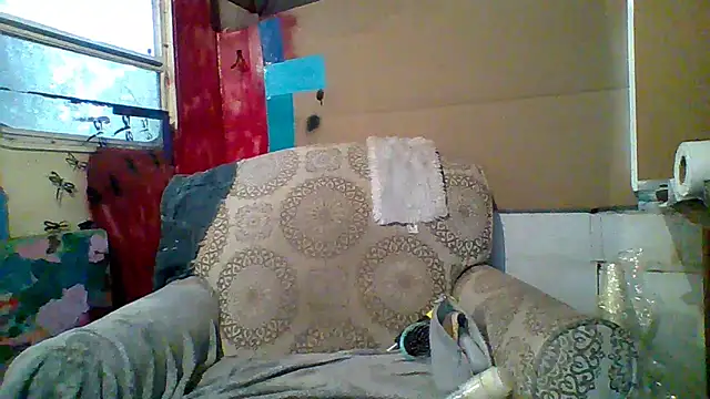 Snapshot of spundarella420 chatting on 10, 3, 2025 spundarella420 online show from 10, 3, 2025